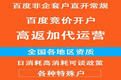 专业SEM托管如何助力电商行业增长？——案例分析